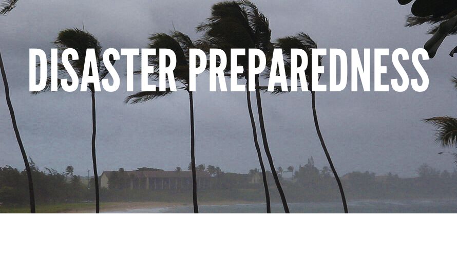 <a href="https://spo.hawaii.gov/for-state-county-personnel/disaster-preparedness-procurement/">Disaster Preparedness & Response Procurement<br /><span>Read More<i class="icon-signin"></i></span></a>